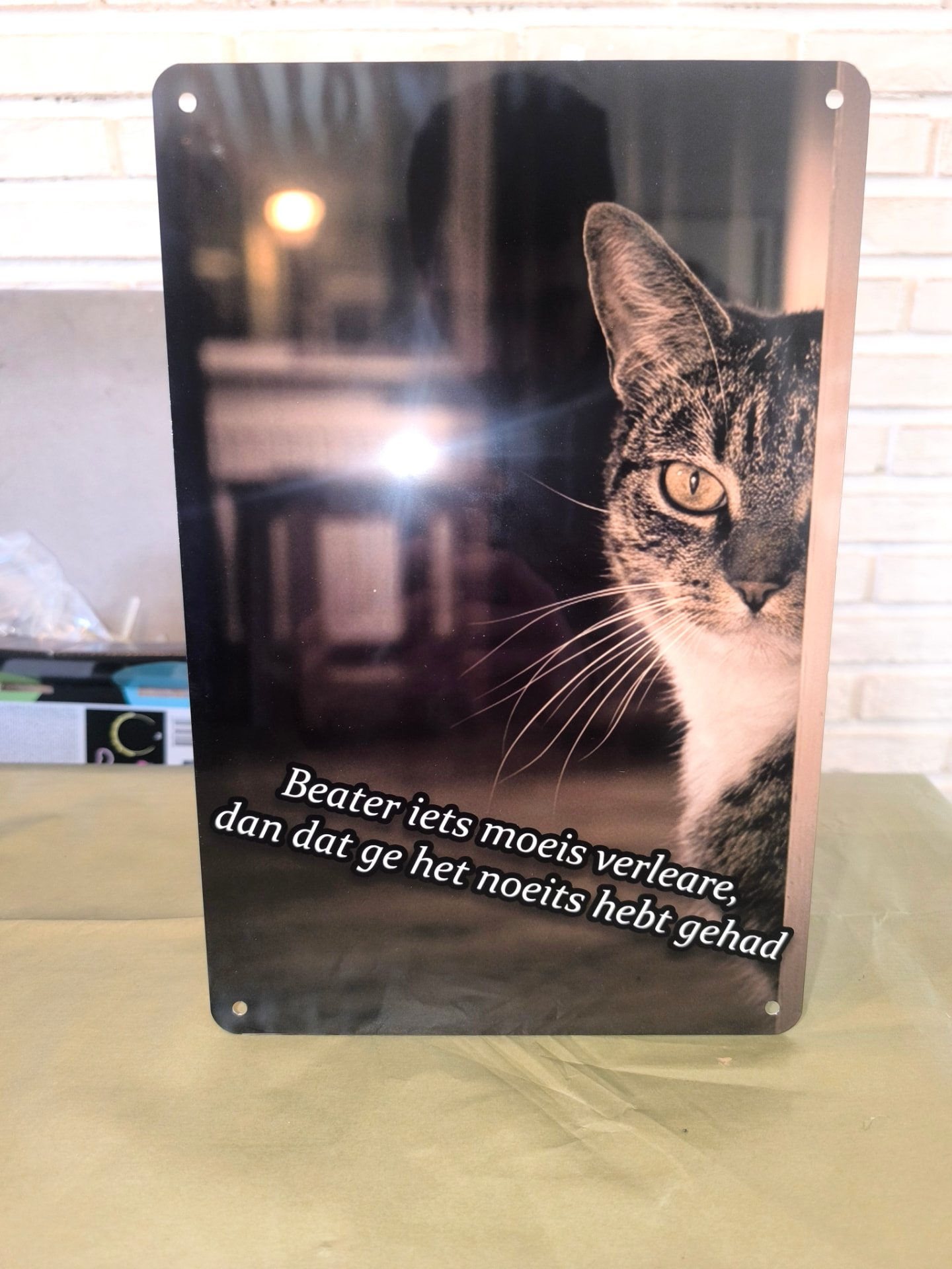 Fotoplaat met foto en dialect-spreuk — bedrukt werk van Color & Brush